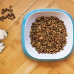 dog food shopping tips