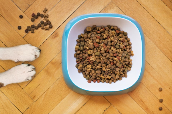 dog food shopping tips